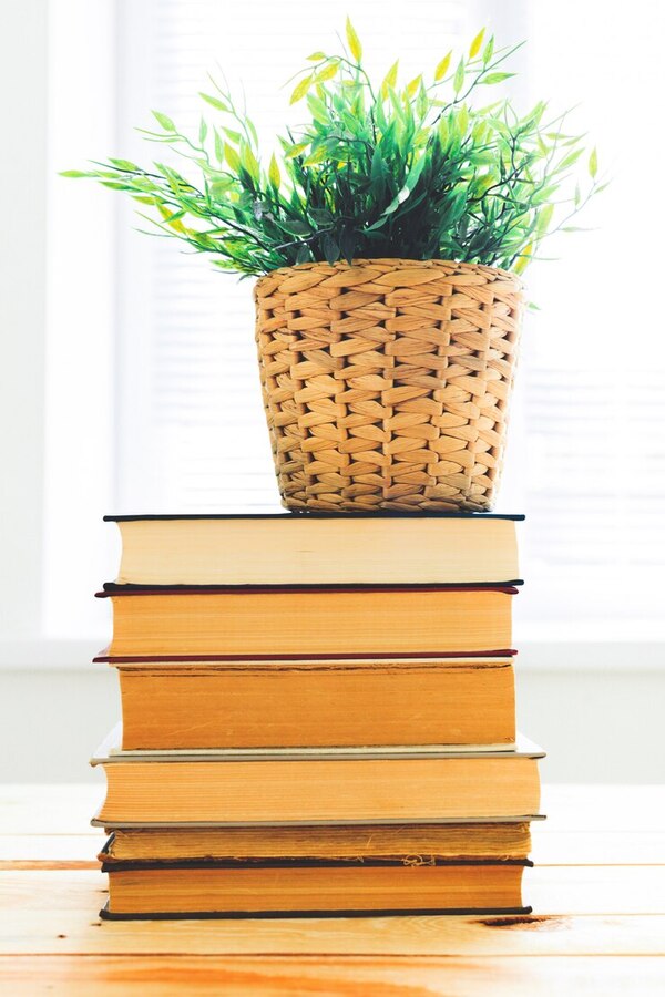 阳光洒在简约风格的客厅与收纳架上，摆放着整齐的书籍与装饰物